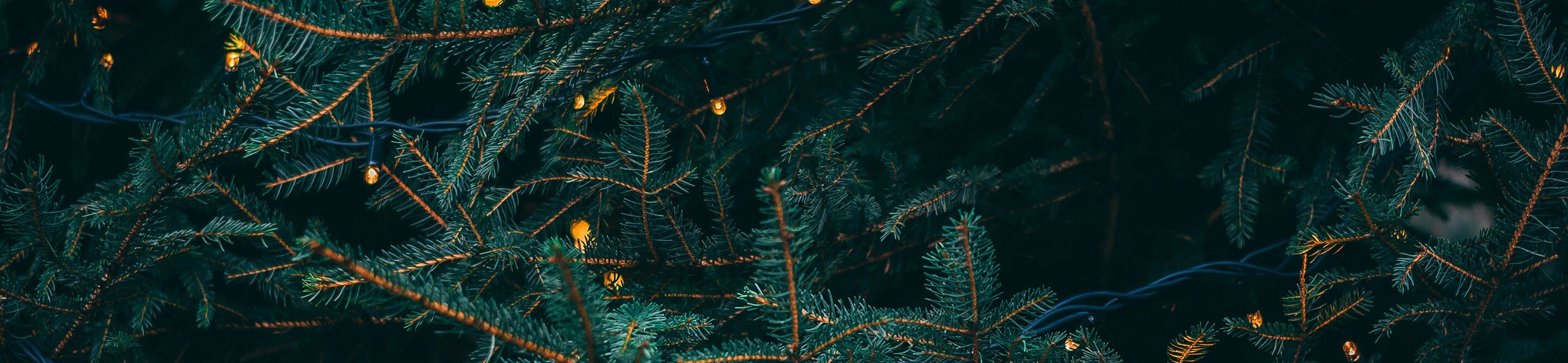 4 ways you can spice up your sex life this Christmas